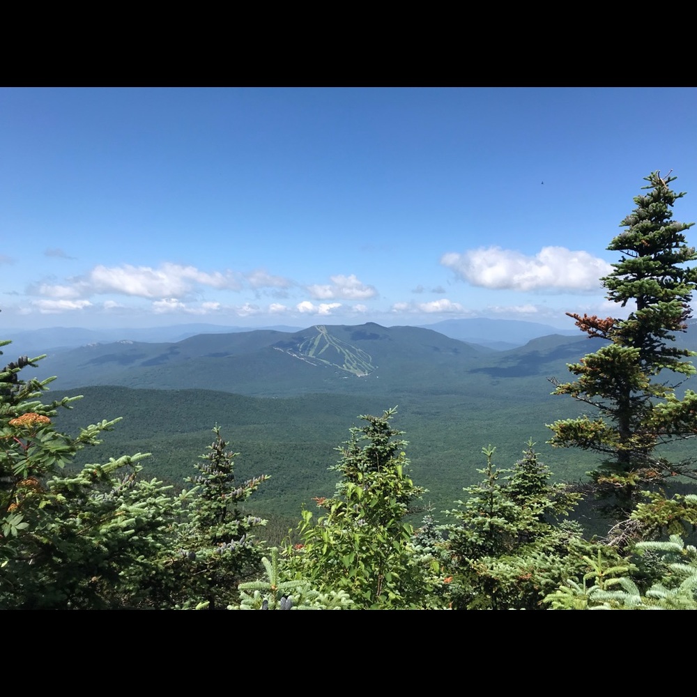 Meet your Posher, Matt